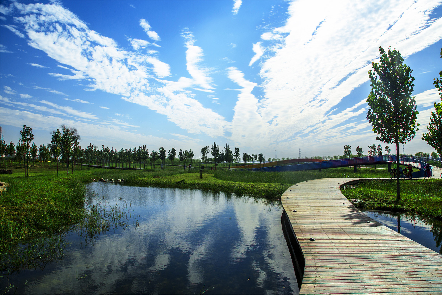 渭南沋河湿地公园图片