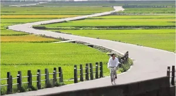 一场稻田音乐会，让这个乡村轰动了全台湾！_18