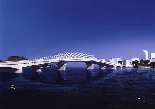 人行钢便桥cad资料下载-三亚大桥重建工程已完成近七成