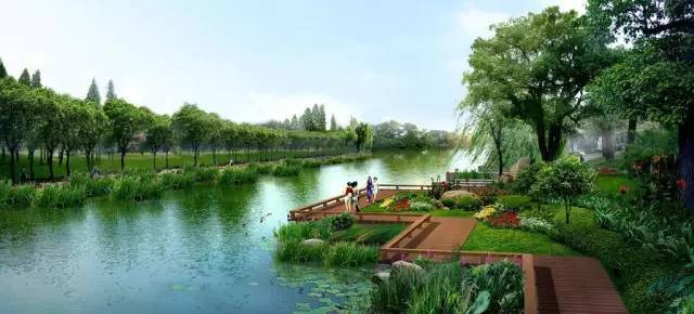 云南植物配置cad平面图资料下载-城市滨水设计与植物造景