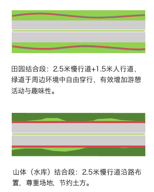 市政道路精美方案设计，管线、景观、生态雨水、自然水处理......_41