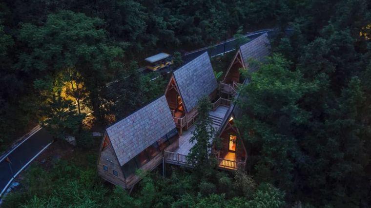 生态森林酒店资料下载-这些树屋，满足你对森林的所有幻想