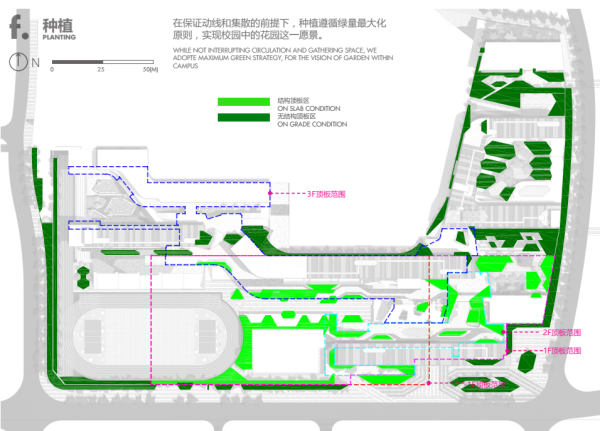 [广东]自然乐园中小学九年制生态校园景观设计方案（2016最新）-景观种植分析