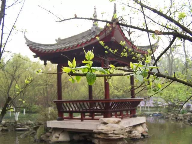 中式园林，只有中国人才懂的诗情画意！_18