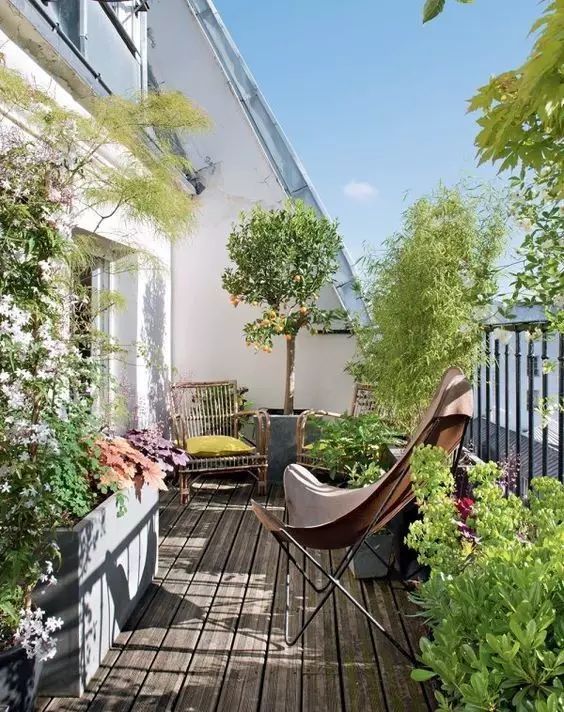露台花园资料下载-这样的阳台花园，做梦都想要一个！