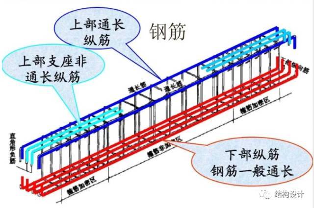 拉结筋架立筋资料下载-受力筋、架立筋、贯通筋、拉结筋...捋一捋各种筋！