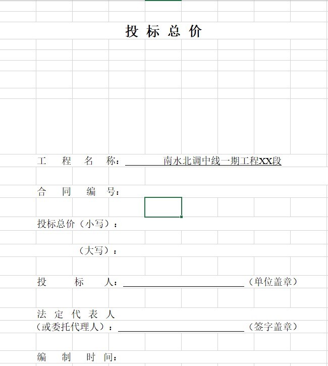 [全套]水利工程量清单范例-2、投 标 总 价