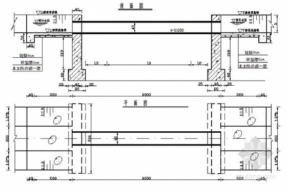 [黑龙江]土地开发整理工程设计报告（含工程预算）-10米渡槽平、剖面图 
