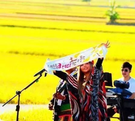 一场稻田音乐会，让这个乡村轰动了全台湾！_5