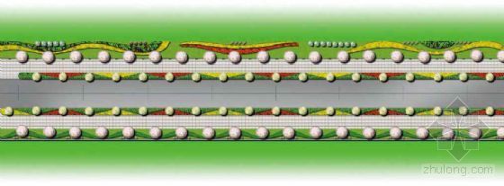 某道路绿化设计方案
