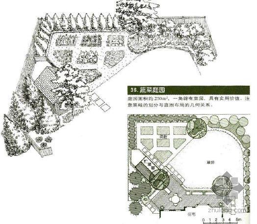 别墅庭院内部设计图资料下载-蔬菜庭院景观设计图