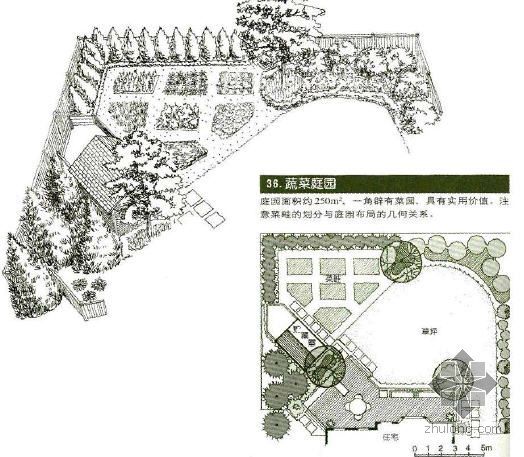 庭院园林景观设计图资料下载-蔬菜庭院景观设计图