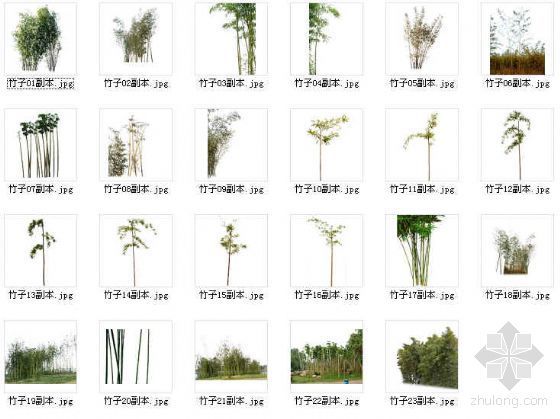 园林景观竹子资料下载-效果图竹子素材