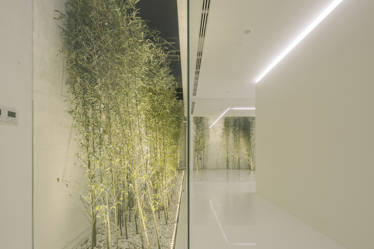 购物中心的楼顶景观-031-Bamboo-Forest-on-the-Roof-By-V-STUDIO