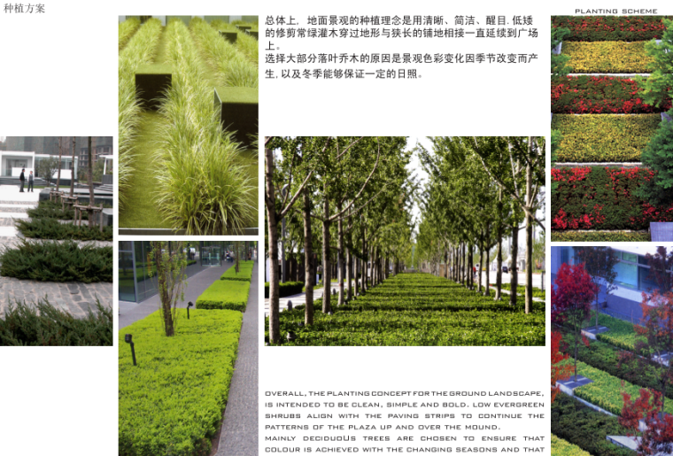 [北京]安邦国际金融大厦商业入口广场及屋顶花园景观设计-知名景观公司_10