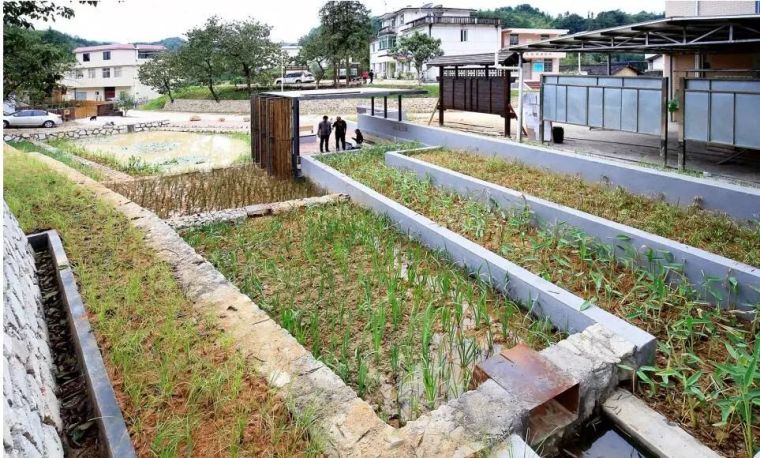 建筑设计中对雨水的收集利用_14