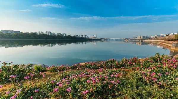 景观步行栈桥资料下载-未来，衢州将成为“绿富美”