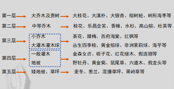 [景观技术交底]知名地产公司景观标准化卡片-景观标准化卡片-3景观软景植物标准层次植物推荐（昆明）