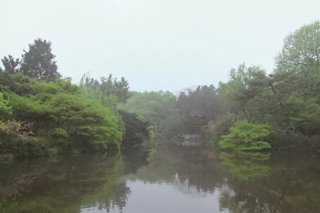 [植物配置]浅析河岸景观的生态修复_8