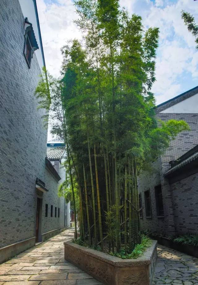 园林竹子设计资料下载-竹子护宅，香椿辟邪……园林中的植物风水，你知道多少？