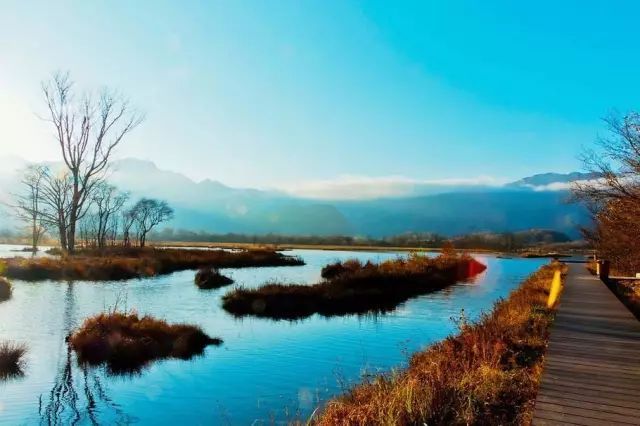 湿地公园游客文化中心资料下载-中国最美的六大湿地公园！