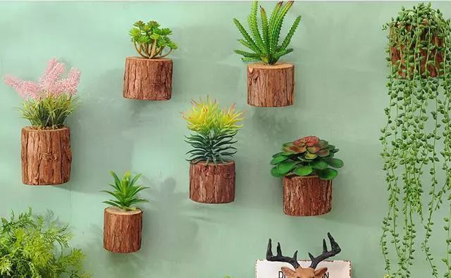 创意植物壁挂，让大自然爬上你家的墙！_5