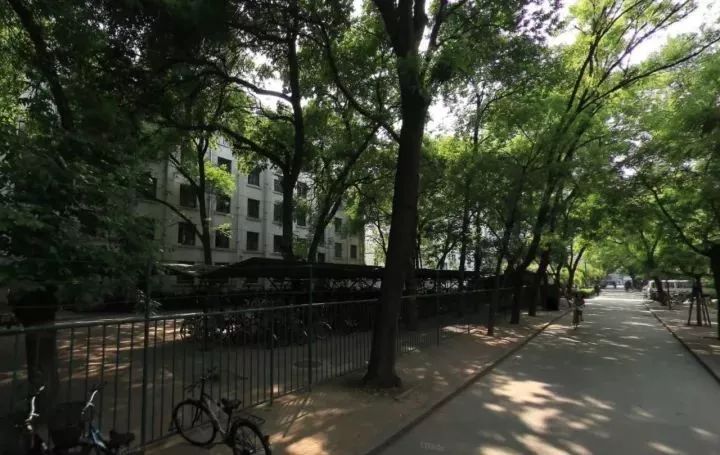 大学校园建筑改造案例资料下载-最有趣的校园改造：北京林业大学树洞花园