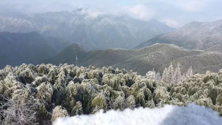 民宿自然风资料下载-任性拒绝了80%的客户，跑到山里开了间“治愈系”民宿