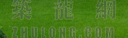 草坪贴图素材资料下载-草地 044