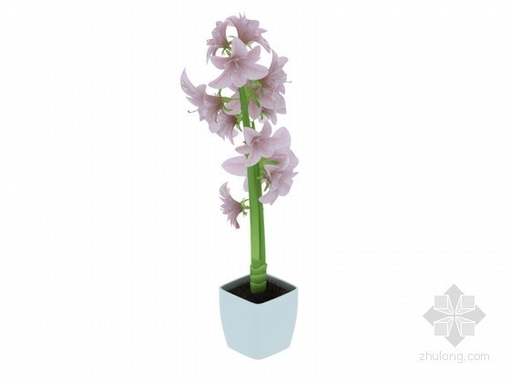 酒店室内3d模型设计资料下载-室内花卉3D模型下载