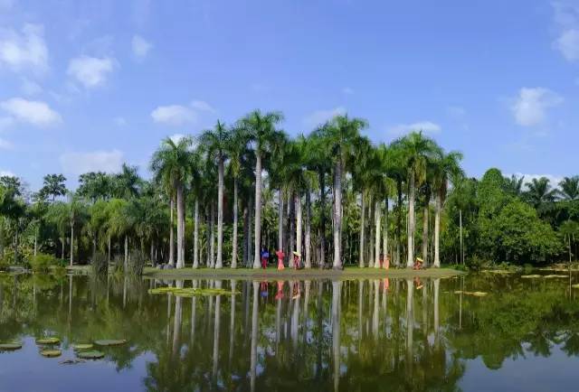 月季植物专类园设计资料下载-中国最棒的42个植物园，你去过几个？