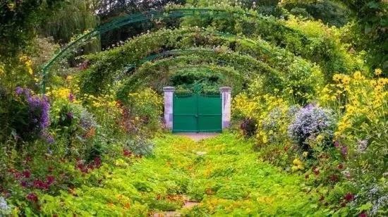 常用的景观花卉资料下载-草本花卉在园林绿化与城市景观建设中的作用