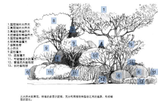 [干货]某知名公司地产景观植物搭配模式-植物配置秘籍-2