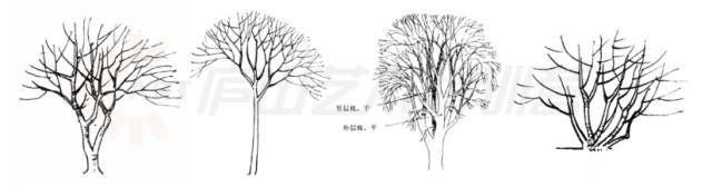 手绘树木素材资料下载-景观手绘基本技法，超实用！