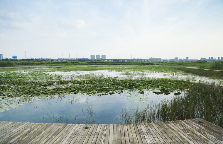 陕西渭柳湿地公园-017-weiliu-wetland-park-china-by-yifang-ecoscape