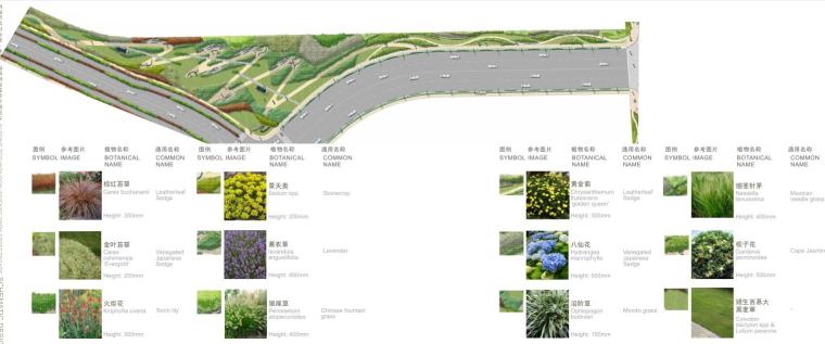 [江苏]科技产业园道路景观方案设计文本（PDF+559页）-植物选择一