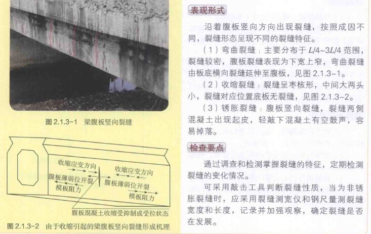 公路工程质量问题分析及应对措施建议208页PPT（图片丰富）-腹板竖向裂缝