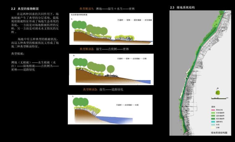 [知名景观公司]骆马湖滨湖带状湿地公园景观设计.-植物断面