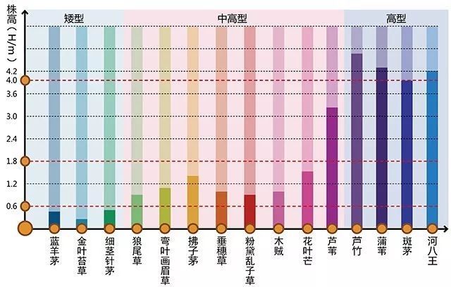 看到这样的花园设计，我怂了！_25