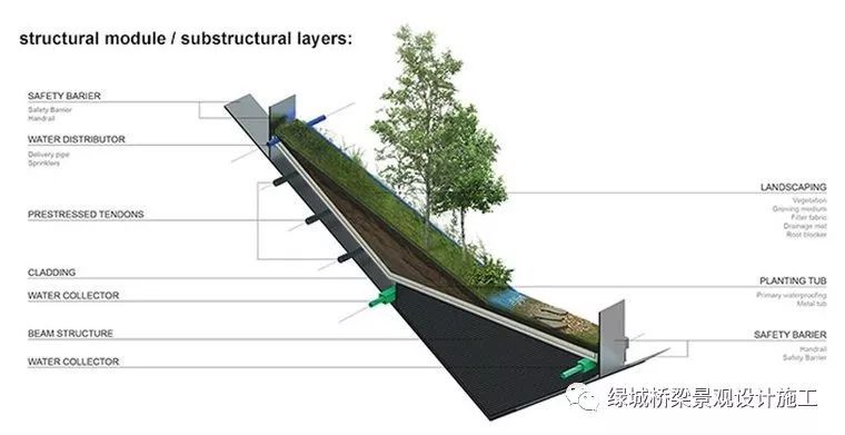 这座高架桥是属于野生动物的！韩国yangjaegogae生态桥-韩国yangjaegogae生态桥-6