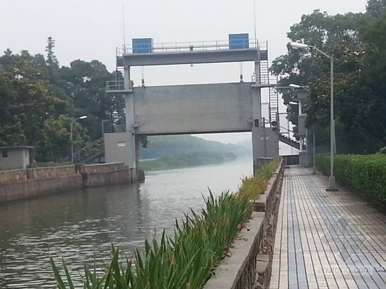 [上海]水闸现场安全检测分析报告（图文并茂）-河西闸下闸首 