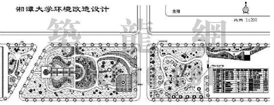 贵州大学绿化资料下载-湘潭大学环境改造绿化设计