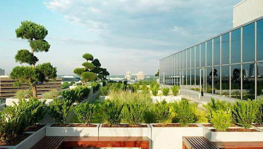 屋顶花园施工图上海资料下载-夏热冬冷地区屋顶花园景观设计要点