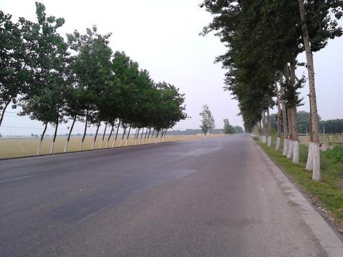 公路公园改造资料下载-[市政工程]滁州农村水泥路（四级公路）工程监理细则（共52页）