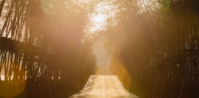 日本虹夕诺雅规划图纸资料下载-山与水的现代东方美学 —— 白石湖东