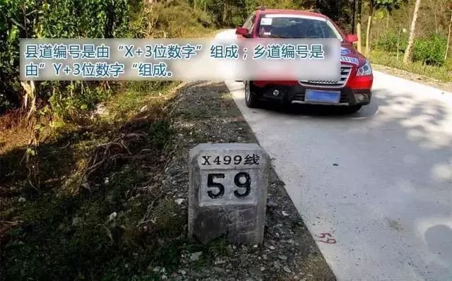 道路编号的秘密，学会走遍中国不会丢！_9