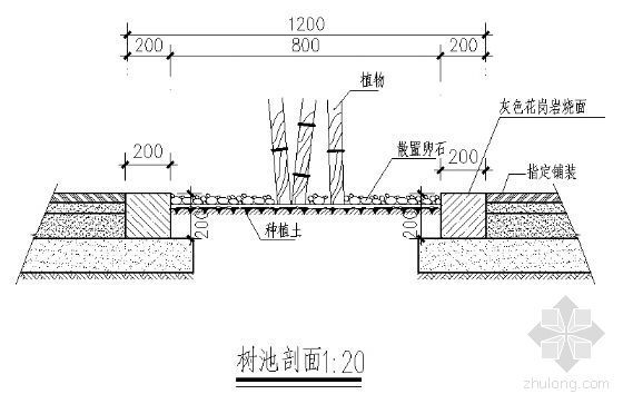 树池剖面详图