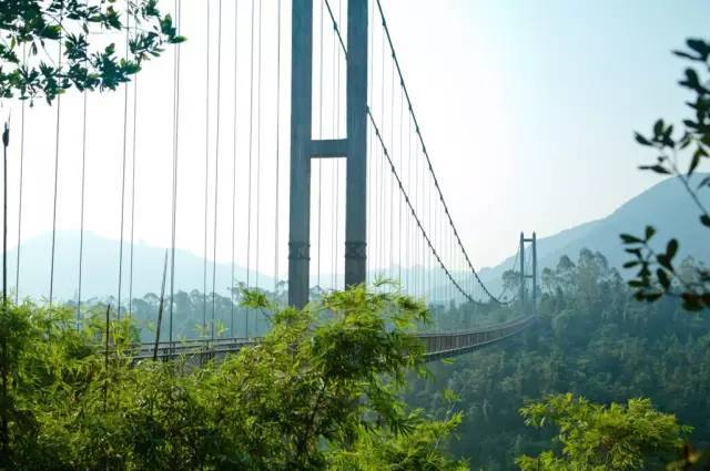 最美栈桥图片资料下载-深圳最唯美酷炫的“栈桥”，好美！