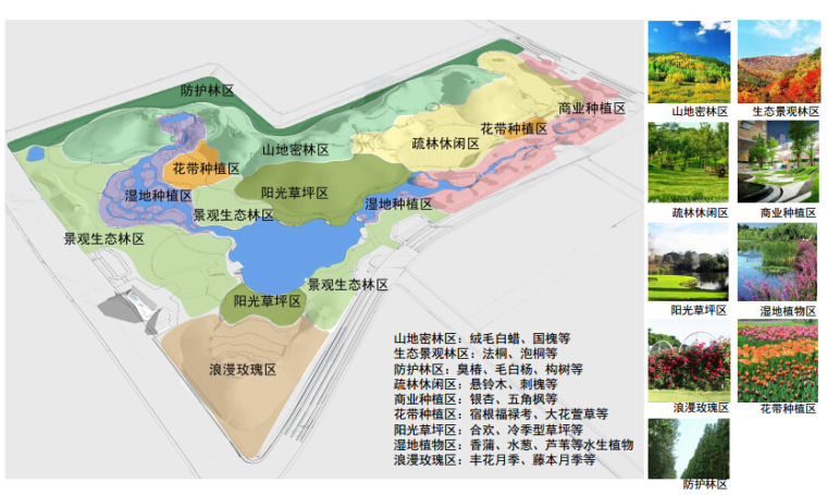 [天津]“山水人”生态和谐公园景观设计方案-种植设计