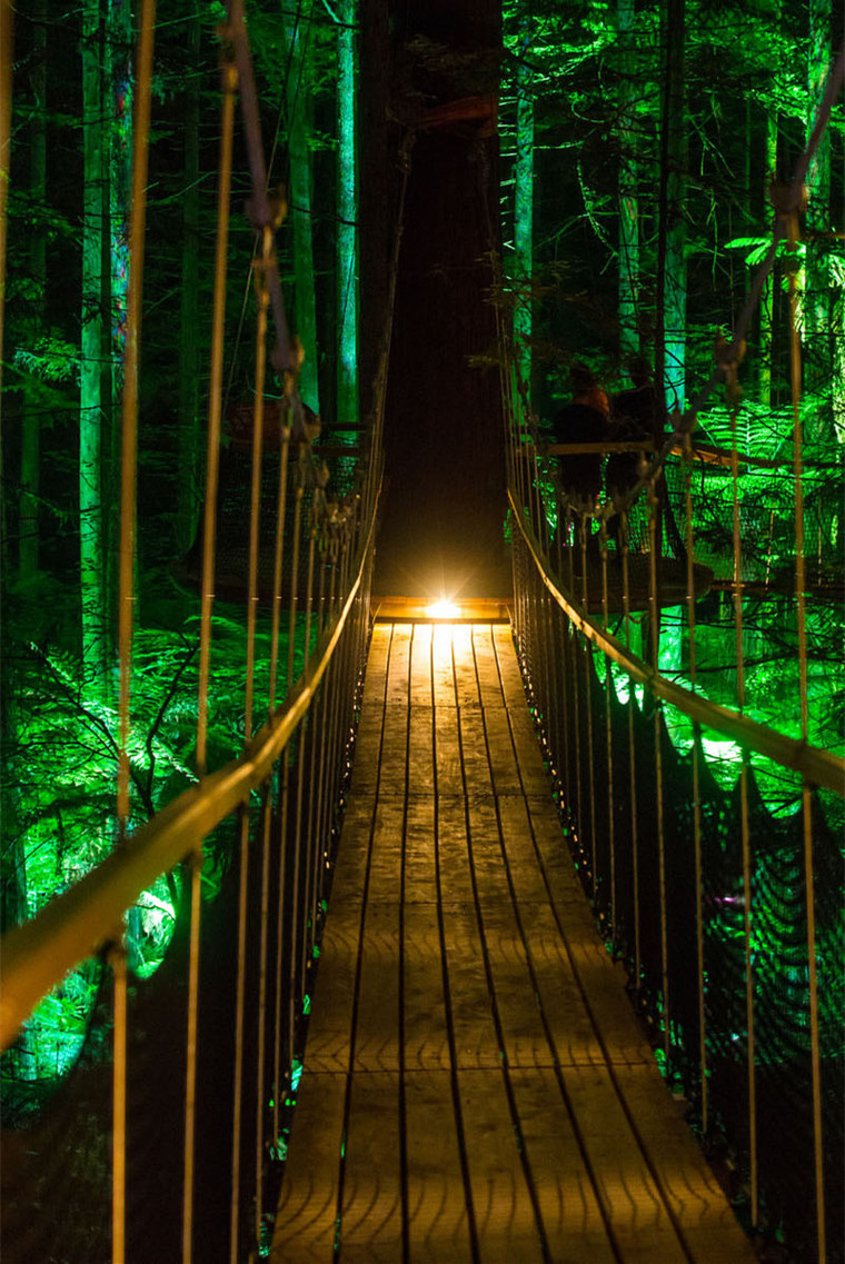 新西兰森林灯光装置-treewalk-rotorua-2112164-1031-05 (1)_副本